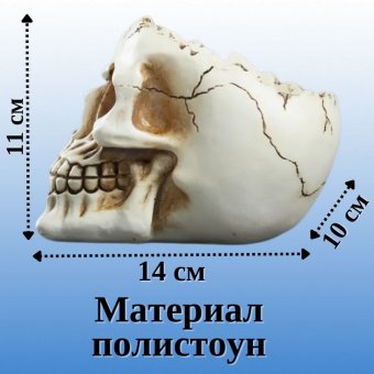 Подставка для карандашей дизайнерская "Череп", SoulArt