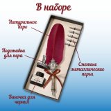 Подарочный набор перьев для каллиграфии (6 перьев, красный) SoulArt