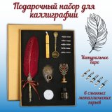 Подарочный набор перьев ручек для каллиграфии (6 перьев) SoulArt